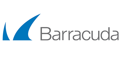 barracuda-strategic-technology-partners